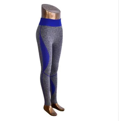 Gradient Yoga Pants