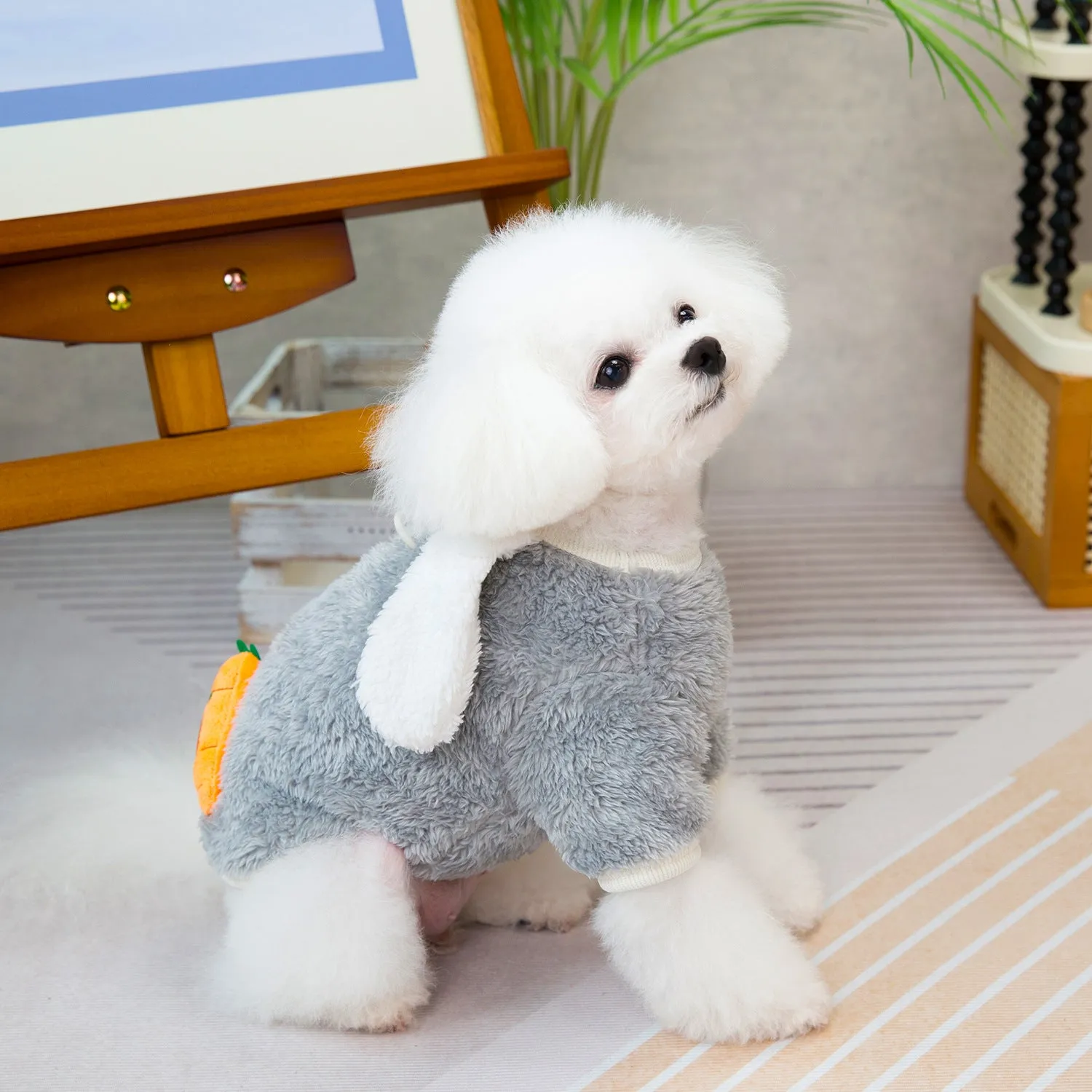 Pet Dog Clothes | Carrot & Big White Rabbit Two-Leg Fleece | 2024 New Autumn and Winter Pet Clothing