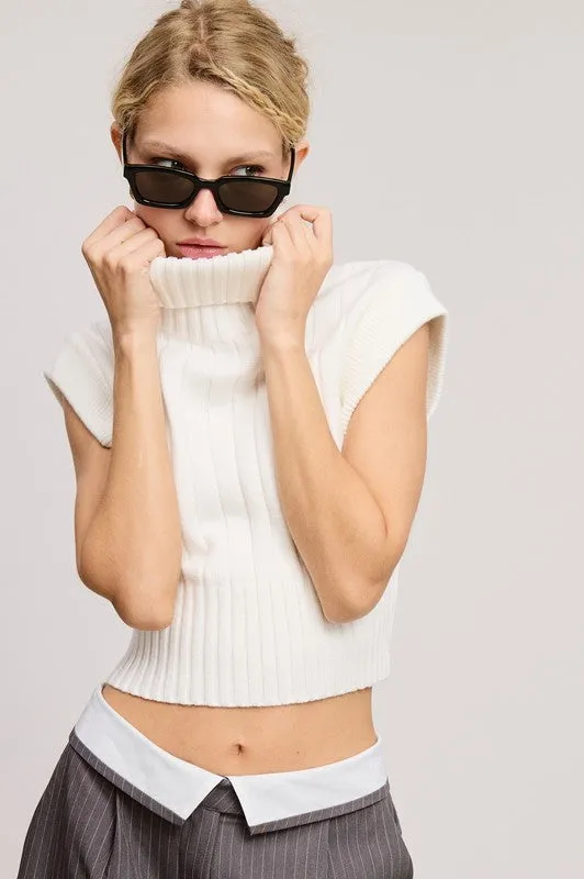 Snow Soft Ribbed High Neck Crop Sweater Top