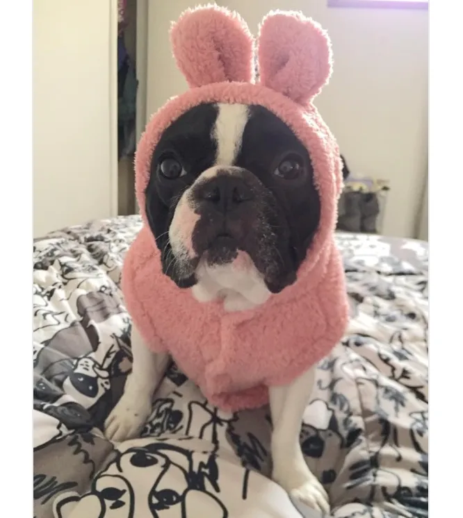 Soft Fleece Bear Hoodie Pajamas Coat for French Bulldog (WS37)